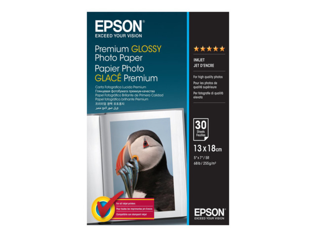 EPSON PAPEL S042154 13x18cm