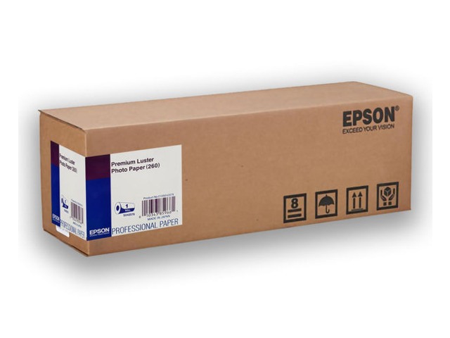 EPSON PAPEL S042080 20''x30.5m